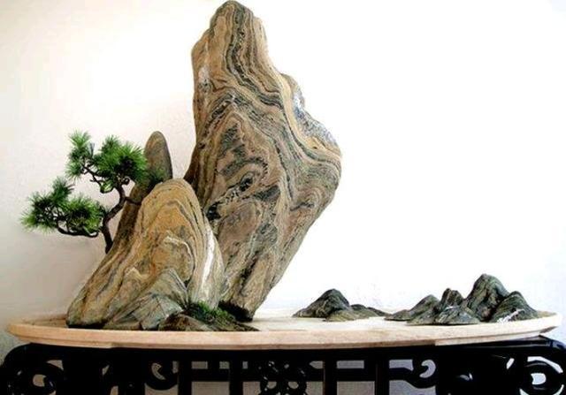 天明盆景奇石馆