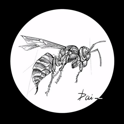 昆虫插画_插画_秘密花园_procreate_线描_黑白线描_潮流_潮流艺术