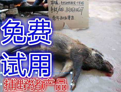 泸州哪里有卖捕野猪机器捕野鸡机器捕猎机