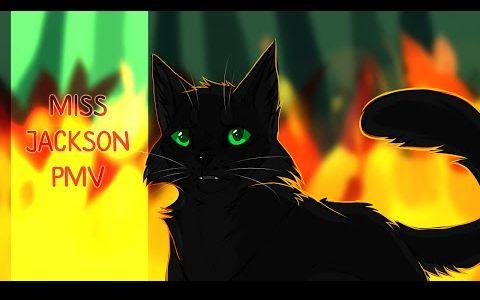 猫武士冬青叶missjacksonpmv