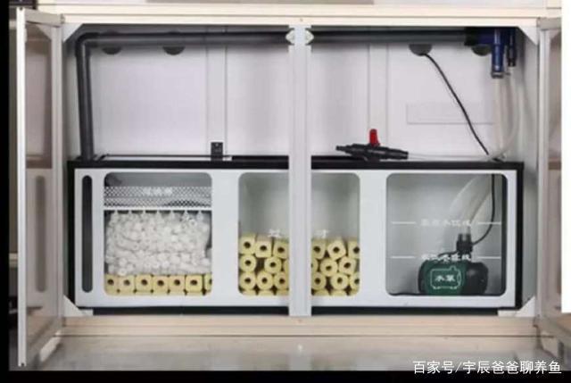 准备养鱼了,那么如何去选择鱼缸的过滤系统呢?