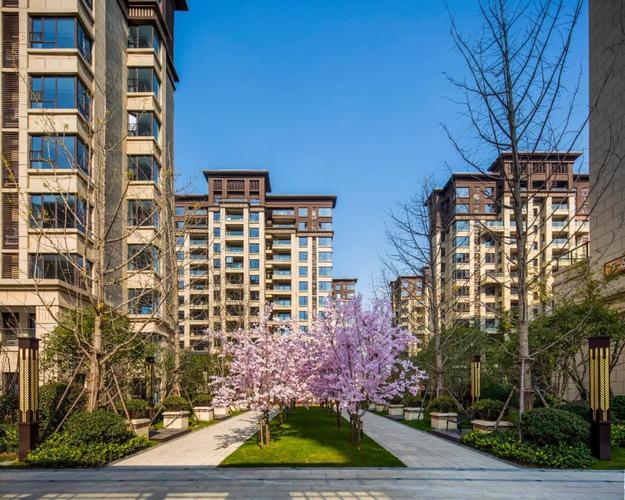 国贸凤凰原 | 松江的期盼,国贸的答案