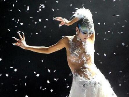 【杨丽萍个人资料简介】家庭背景02 年龄身高体重