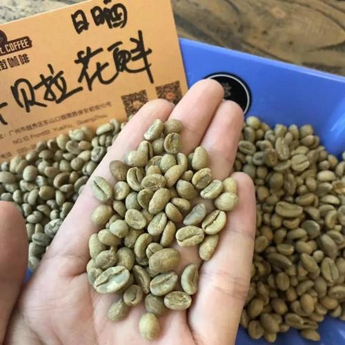 西达摩咖啡豆有什么特点西达摩咖啡介绍西达摩咖啡有什么风味