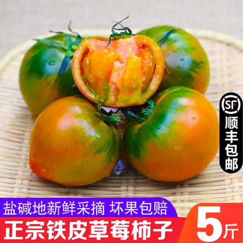 丹东东港特产油柿子铁皮绿腚草莓洋柿子番茄盐碱地灯笼果西红柿