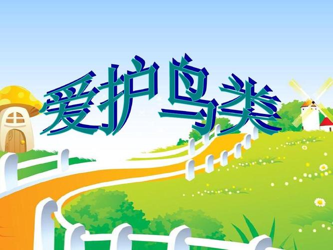 中班社会《爱护鸟类》ppt课件 幼儿园优秀优质课公开课名师比赛