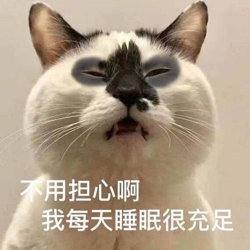 uu们有没有表达很困的表情包