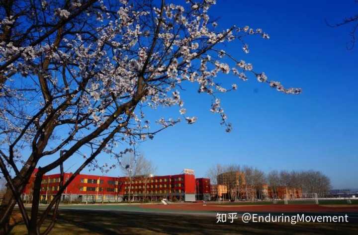 在顺义牛栏山一中实验学校就读是怎样一种体验