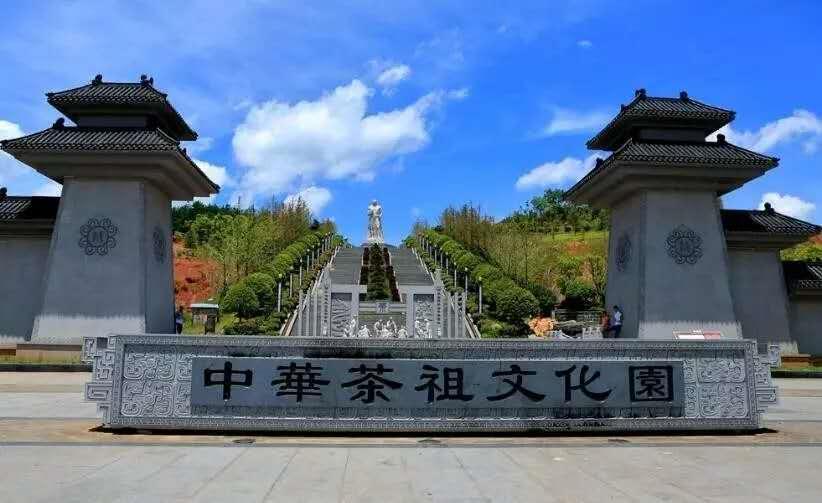 茶陵红茶,如何讲好"茶祖故事"和"红色故事"?