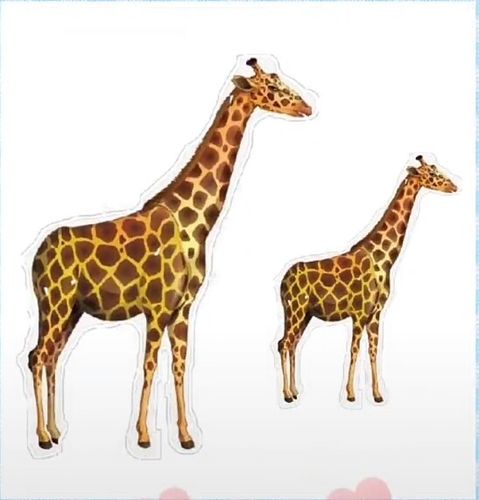 春天到了,小动物都出来玩了,你们看谁来了?