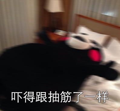 这不是起床这是诈尸表情包下载高清无水印版