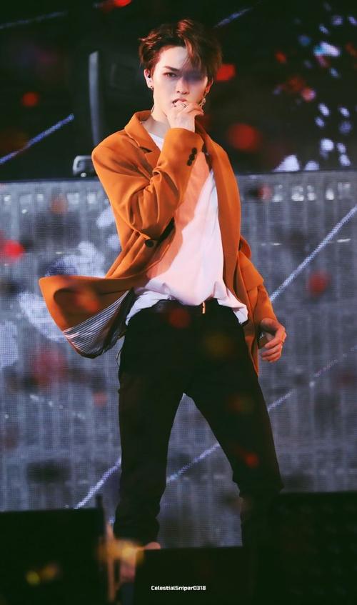 austin-朱正廷/猪猪廷