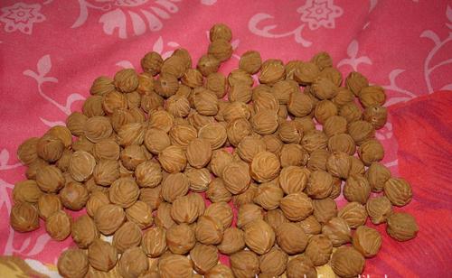 麻核桃品种_麻核桃品种大全