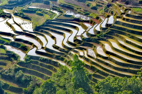 元阳哈尼梯田