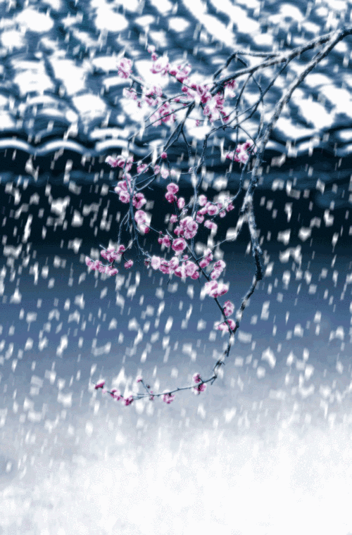 ps教程:制作雪花飞舞的动态场景,给这个夏天降降温