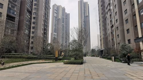 御锦城智慧树