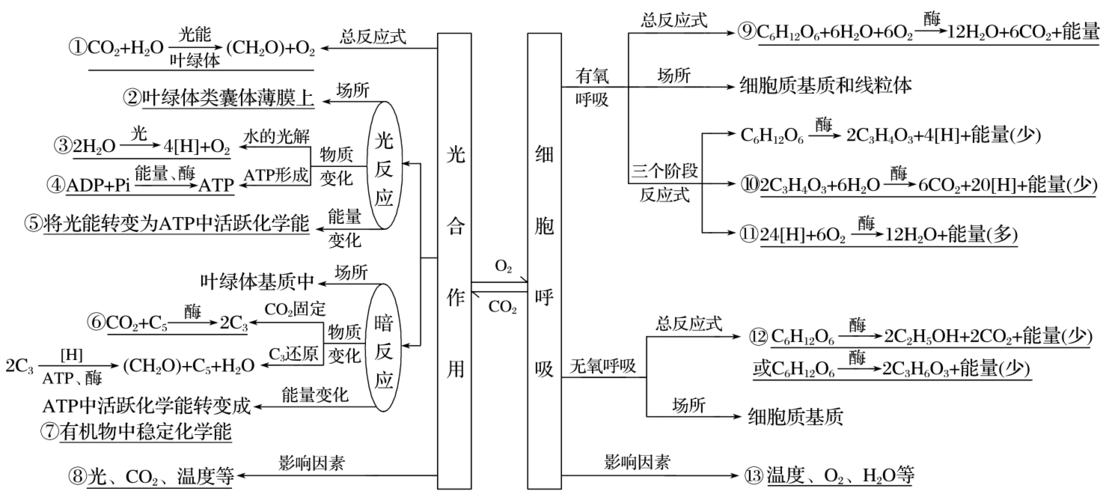 2018年高考生物二轮复习核心考点之提分冲刺专题04细胞呼吸与光合作用