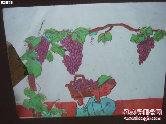 幻灯片-葡萄沟--6张