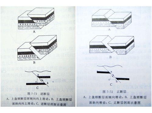 如何区分正断层