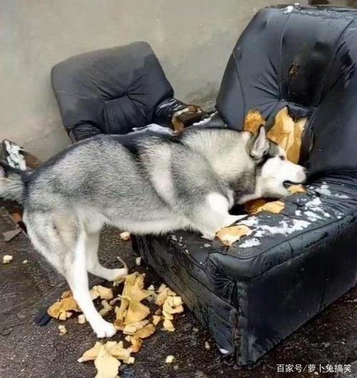 并且还一副意犹未尽的表情.