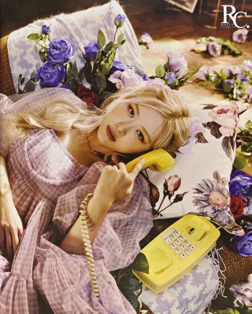 rose - 堆糖,美图壁纸兴趣社区