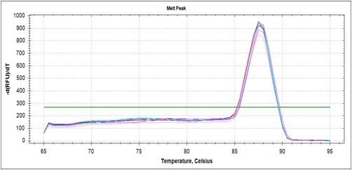 基因表达分析服务-荧光定量pcr服务