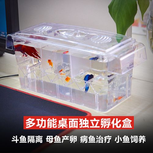 鱼隔离盒