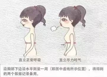 正常呼吸和尽力呼气二者取平均值 ▼