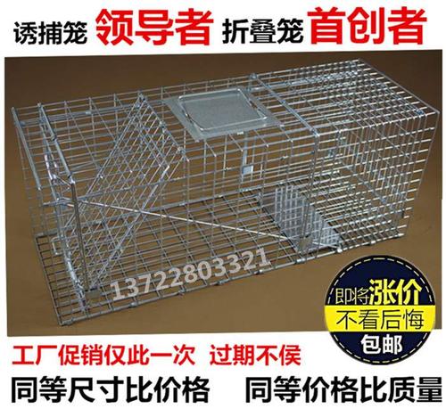 热销捕猫笼子