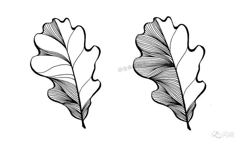 9款叶子黑白线描画,新手收藏!