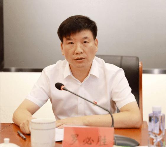 最新!罗必胜提名为益阳沅江市长候选人,快看你认识吗?