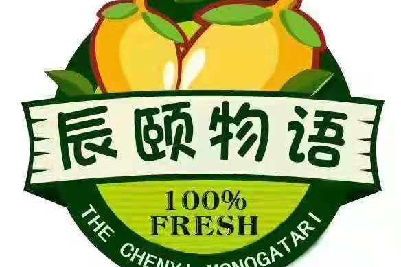 干货分享辰颐物语升总代条件解读