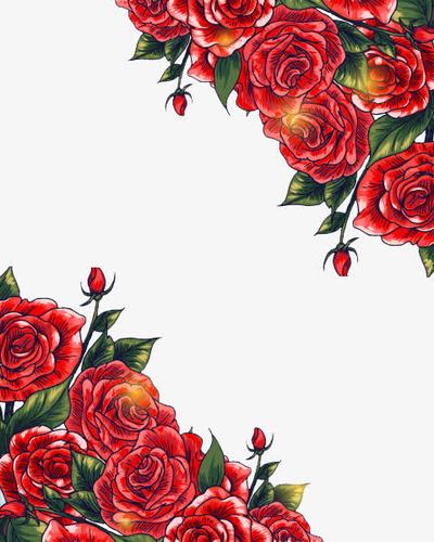 关键词 : 玫瑰,手绘玫瑰,红玫瑰,花卉,花朵,鲜花,卡通