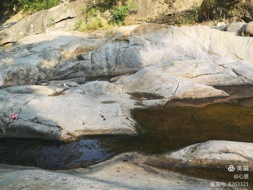 翡翠画廊 写美篇鲍棚村位于确山县竹沟镇西10公里处,2012年被国家农业