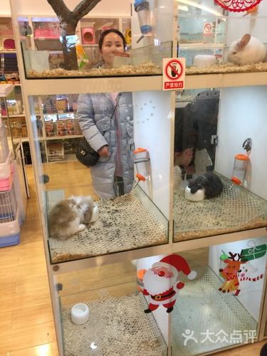 pet woods兔子森林(奥山世纪城店)图片 - 第2张