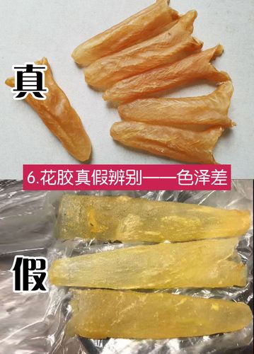 花胶真假辨别的八大方法_鱼胶