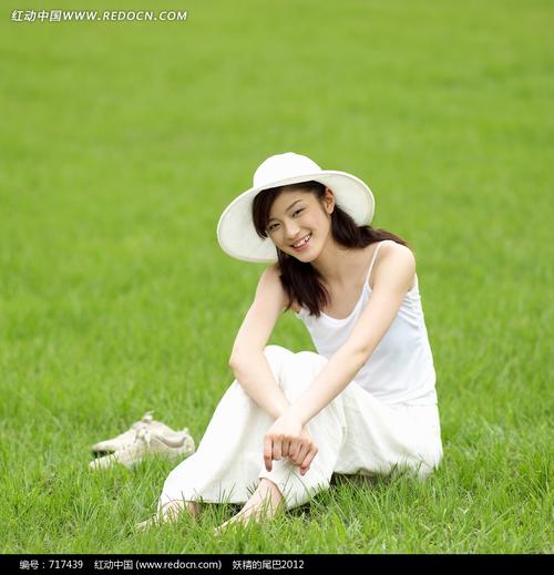 图片大全高清紫罗兰图片 第3页 素材公社 tooopen