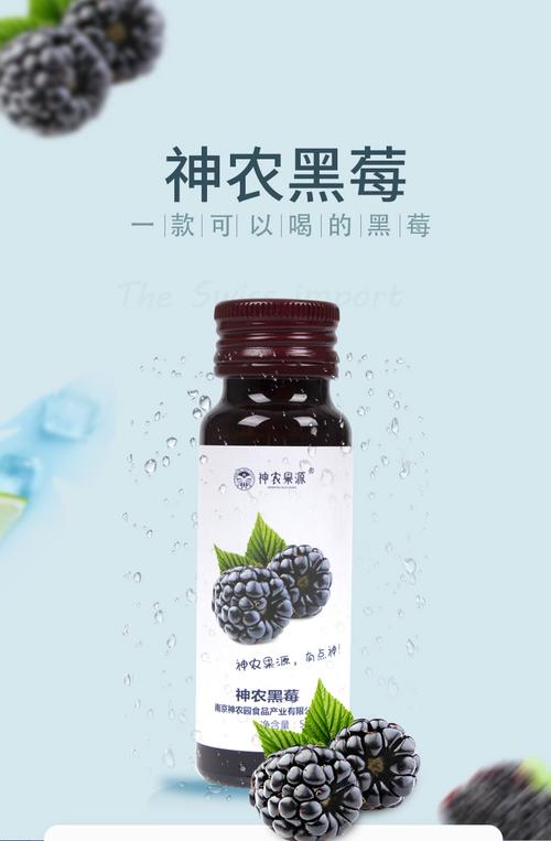 黑莓原浆50mlx10瓶黑莓汁原液原浆饮料花青素果汁饮品纯素食品1瓶50ml