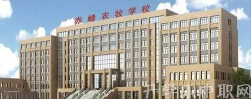 赤峰农牧学校校园环境怎么样?
