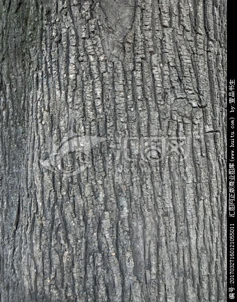 [正版商业] 树皮 槐树皮 树皮纹理