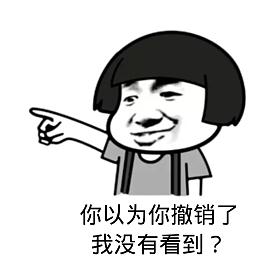 你以为你撤销了我没有看到搞笑表情