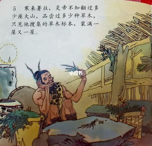 中国神话故事 神农尝百草(上)_绘本_母婴_早教