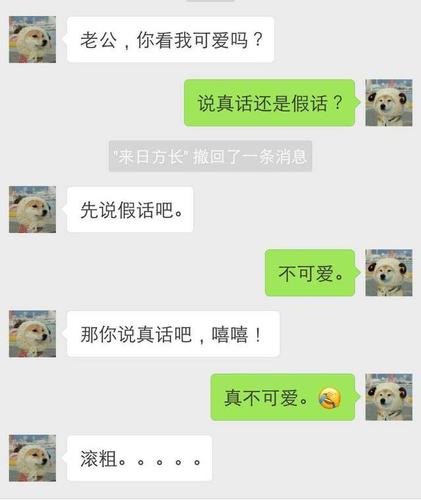 女问男答,情侣对话,神回复