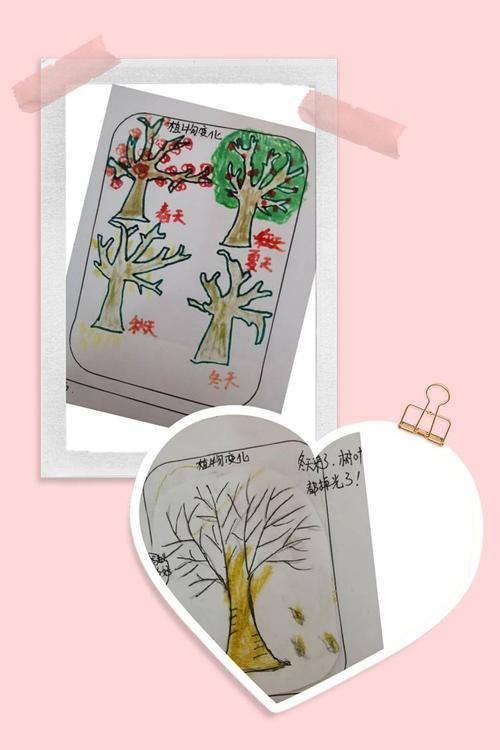 小班《给植物过冬》主题课程故事