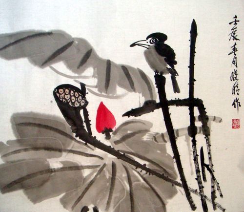 胡晓晴