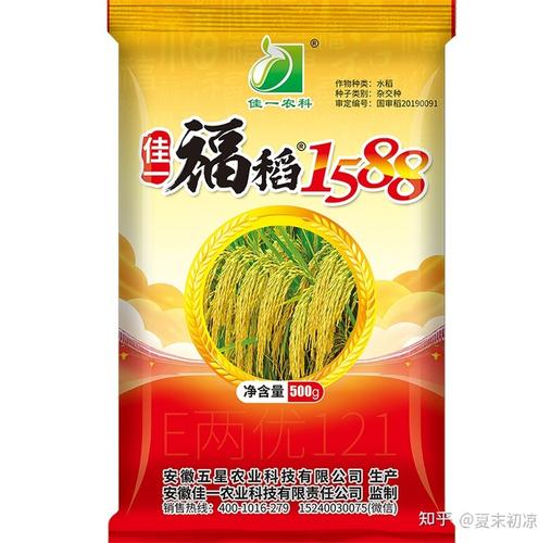 最新杂交水稻品种佳一福稻1588优质高产杂交水稻种子