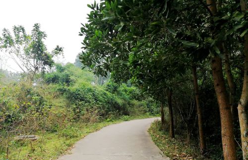 屯昌海南南坤民族风情旅游区攻略,屯昌海南南坤民族区