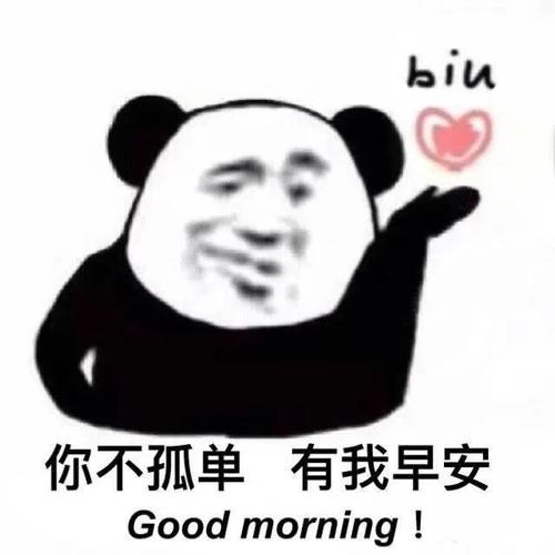 微信表情包「你不孤单,有我早安」