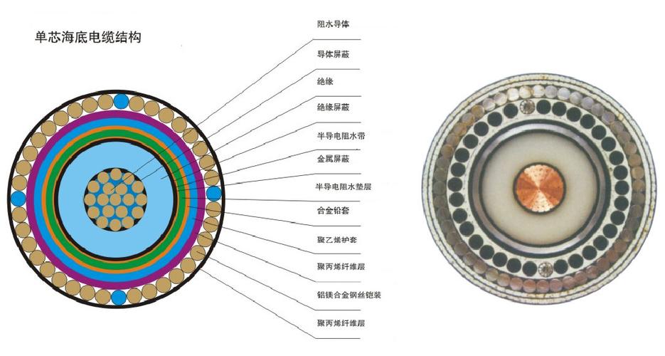 住宅电气线路一般采用只有一层塑料绝缘的铜芯电线,它通常穿于塑料管