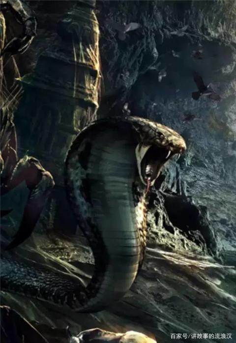 苏东坡记载的奇事:蛟蟒余生的水晶秀才?大千世界无奇不有!